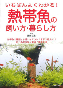 いちばんよくわかる！熱帯魚の飼い方・暮らし方