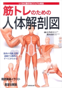 筋トレのための人体解剖図