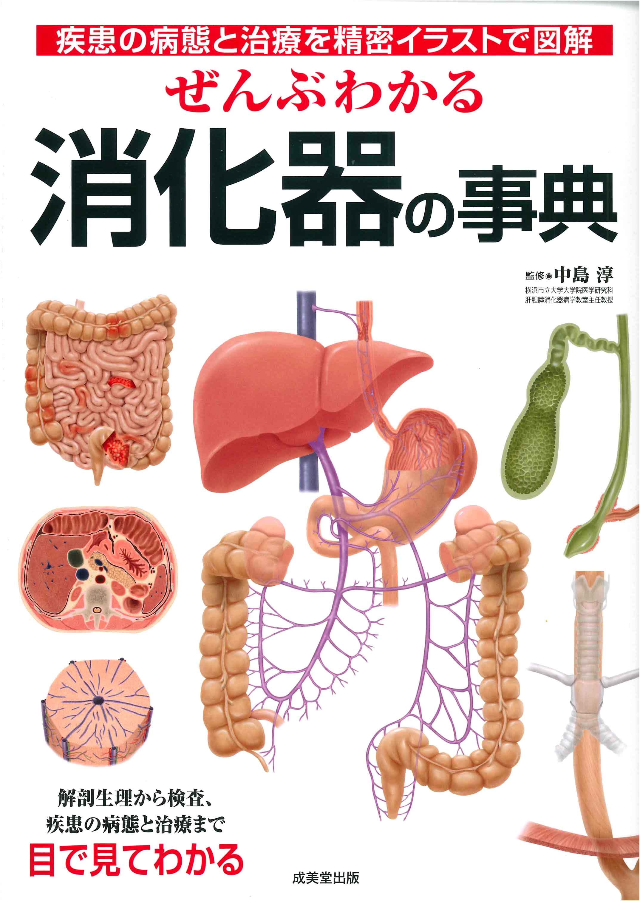 ぜんぶわかる消化器の事典