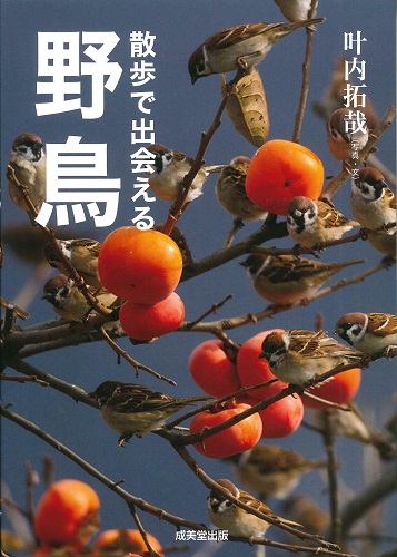 神戸ベストガイド ’０７ー’０８年版/成美堂出版/成美堂出版株式会社