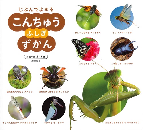 こんちゅうふしぎずかん