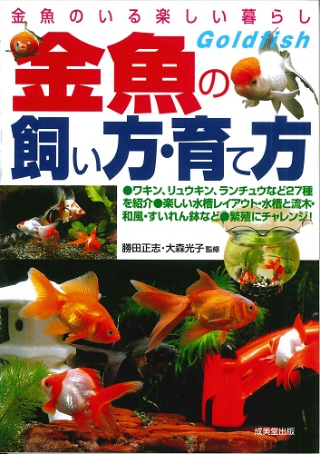 金魚の飼い方・育て方