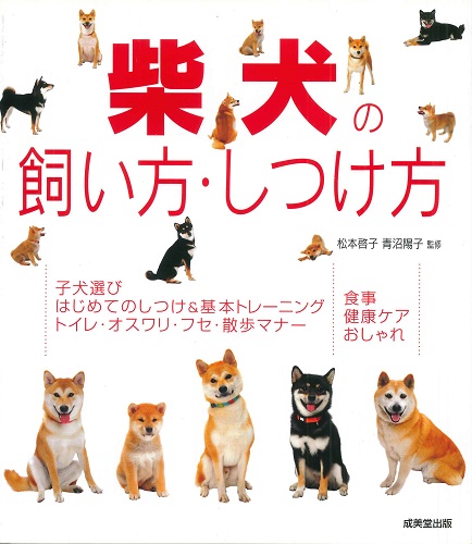 柴犬の飼い方・しつけ方