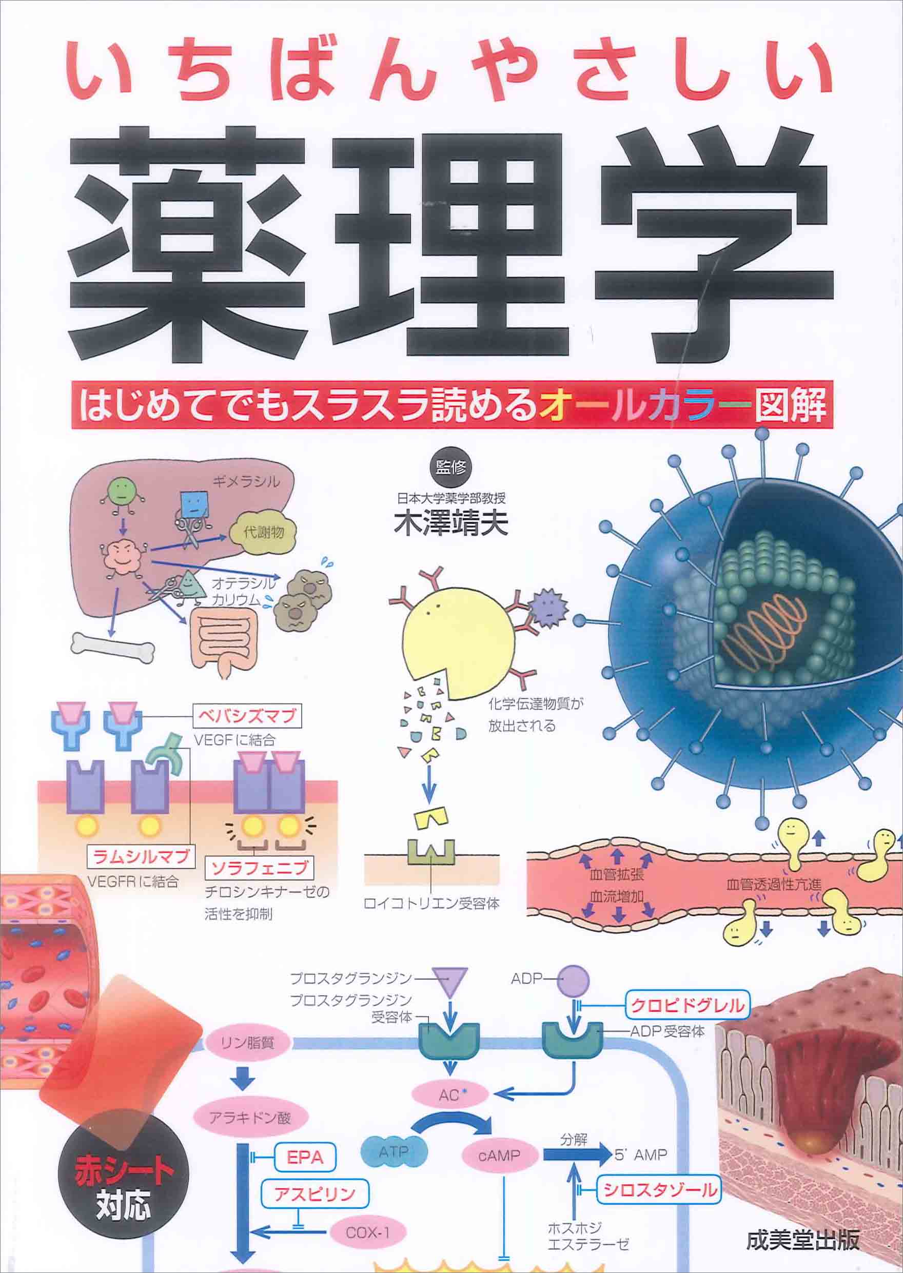 いちばんやさしい　薬理学