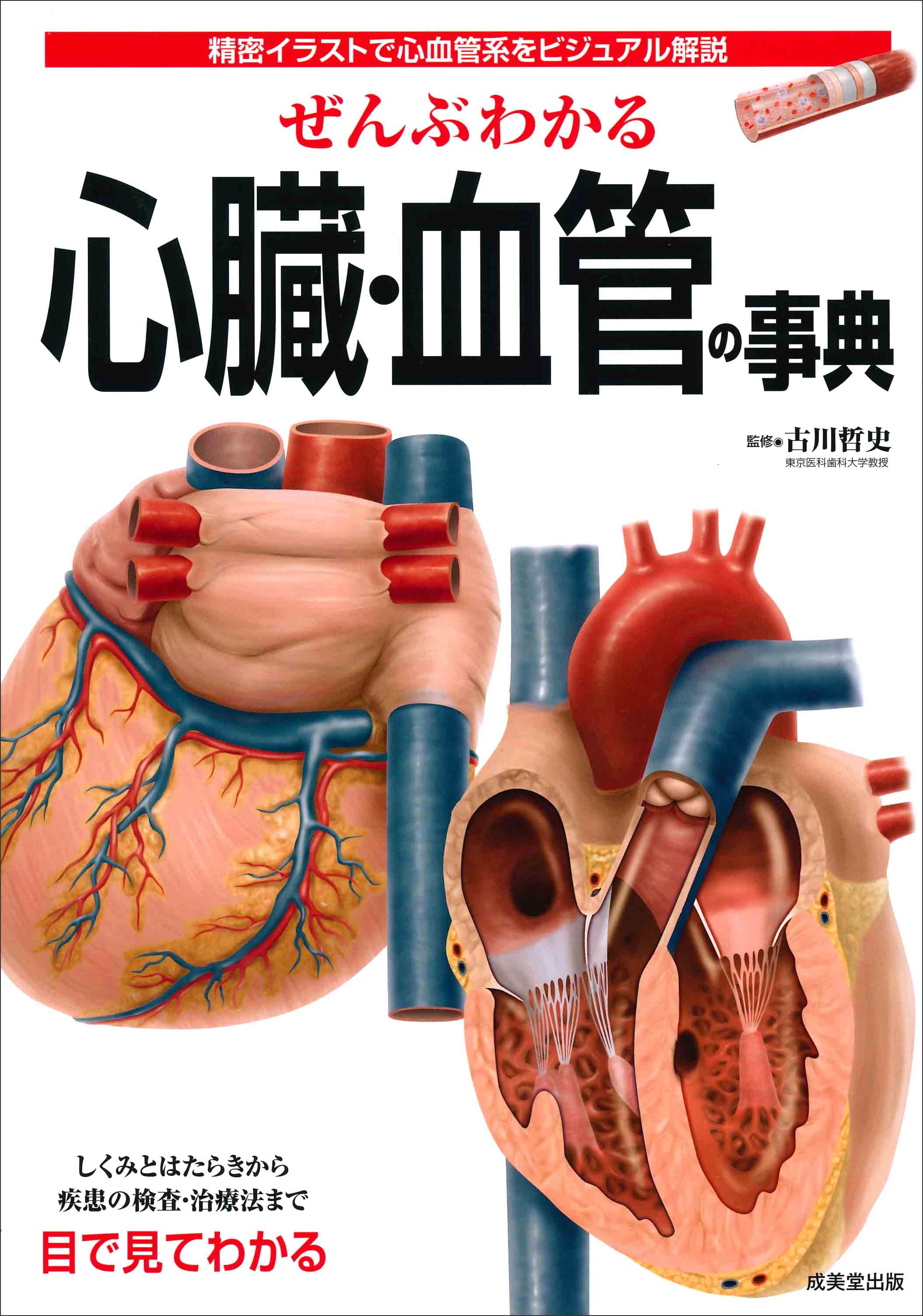 ぜんぶわかる心臓・血管の事典