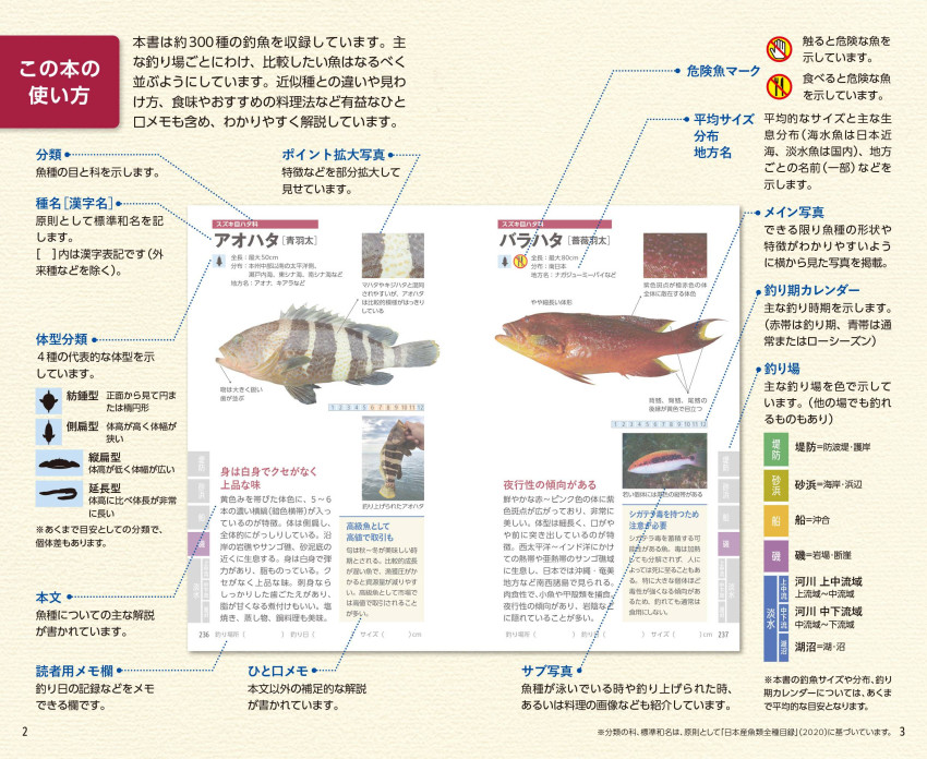 見わけがすぐつく 釣魚図鑑｜成美堂出版