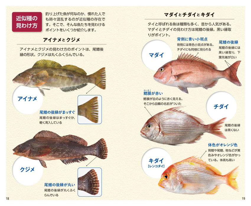 魚類ページ 見わけがすぐつく 釣魚図鑑｜成美堂出版