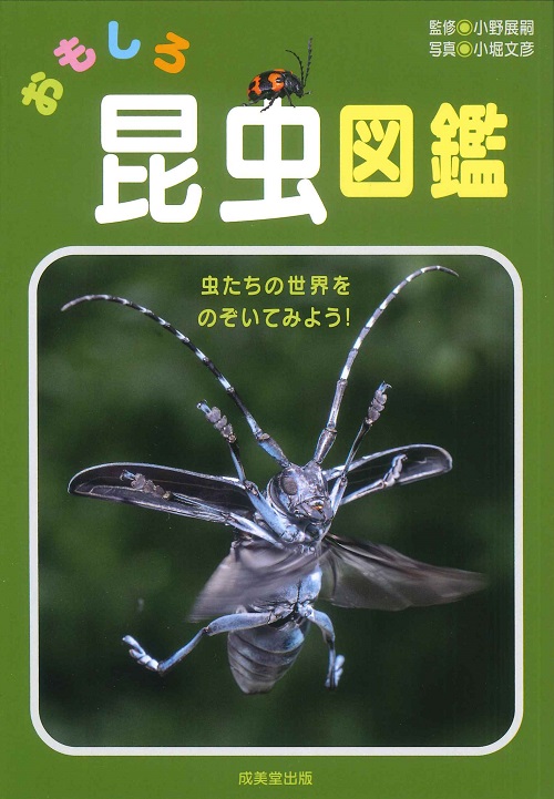 おもしろ昆虫図鑑