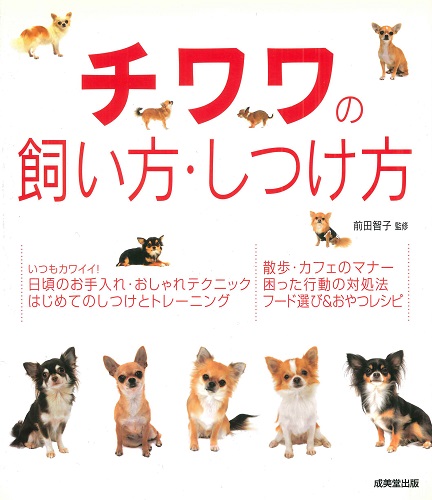 チワワの飼い方・しつけ方