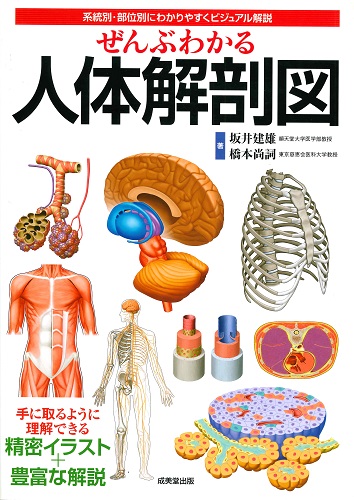 ぜんぶわかる人体解剖図